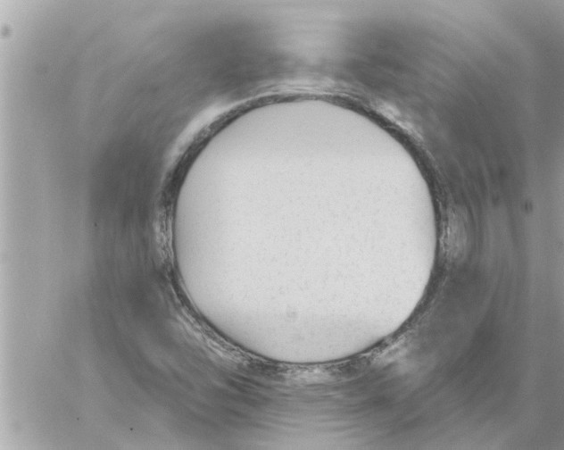 X0000058121454200510212008