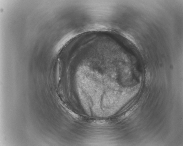 X0000058121455200510212008