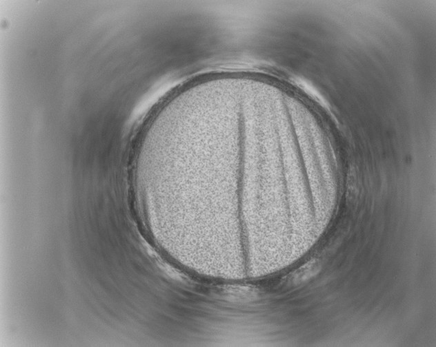 X0000058121456200510212008