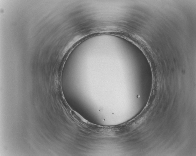 X0000058121457200510212008