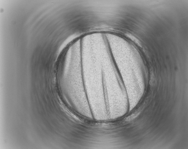 X0000058121458200510212008