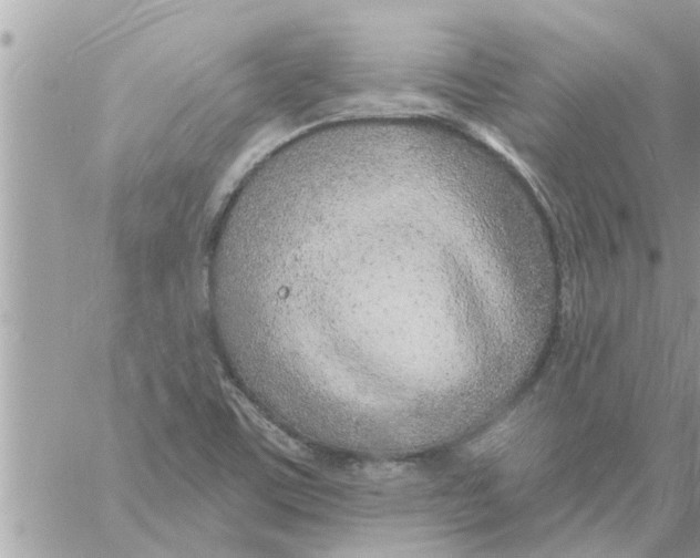 X0000058121459200510212008