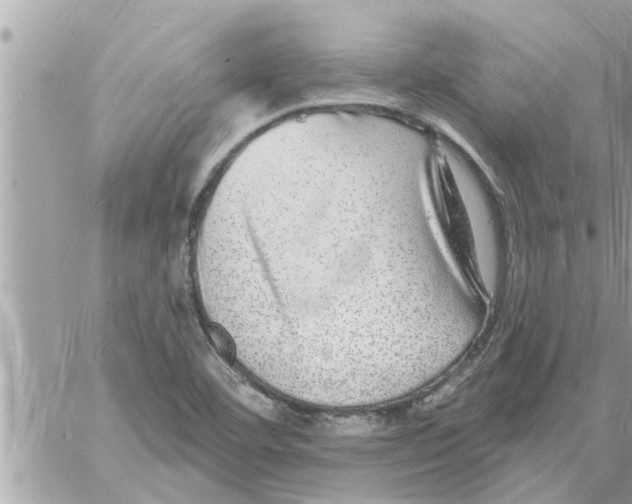 X0000058121460200510212008