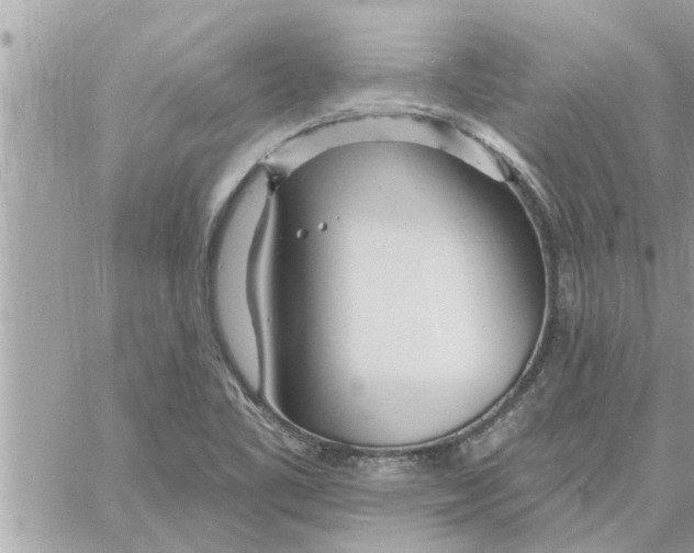 X0000058121461200510212008