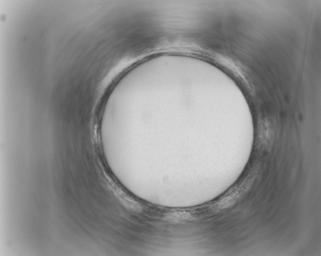 X0000058121462200510212008