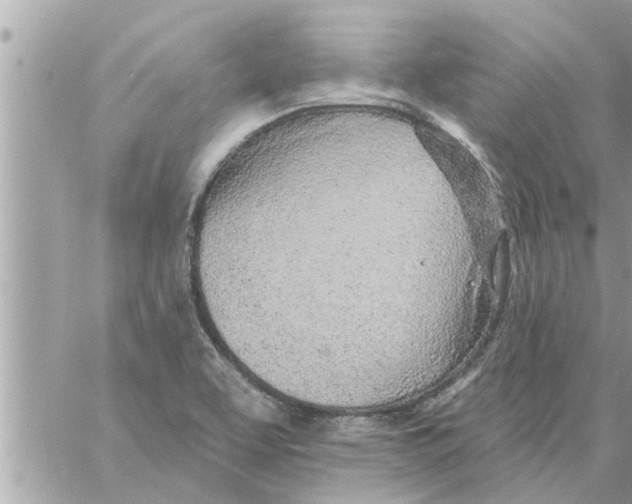 X0000058121463200510212008