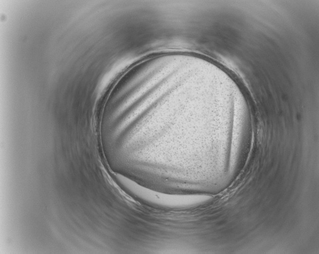 X0000058121464200510212008