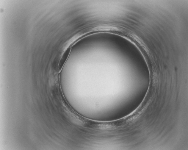 X0000058121465200510212008