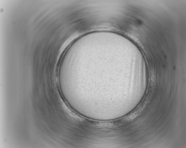 X0000058121466200510212008