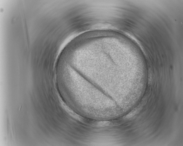 X0000058121467200510212008