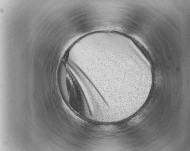 X0000058121468200510212008