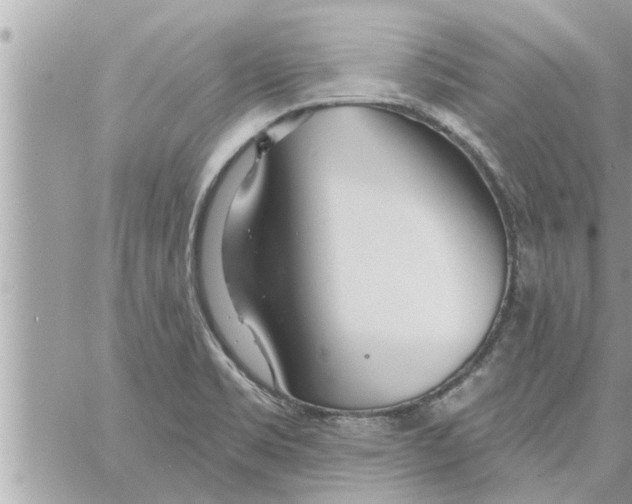 X0000058121469200510212008