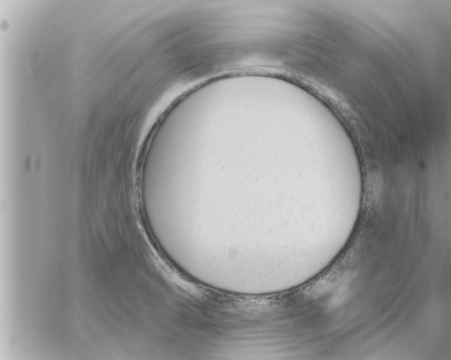 X0000058121470200510212008