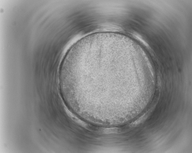 X0000058121471200510212008