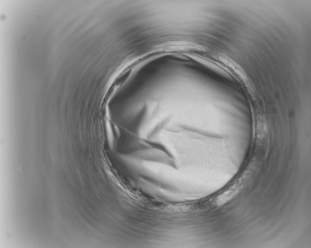 X0000058121473200510212008