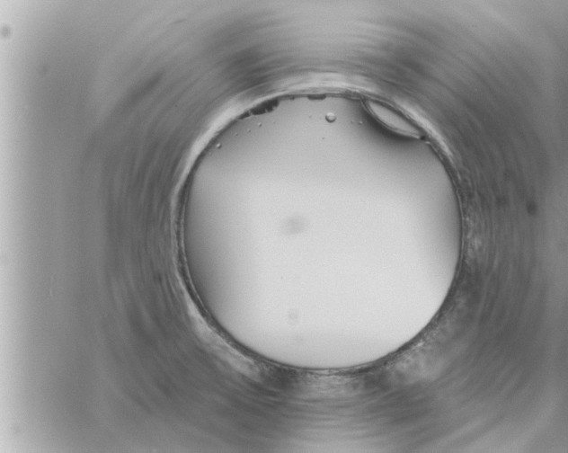 X0000058121475200510212008