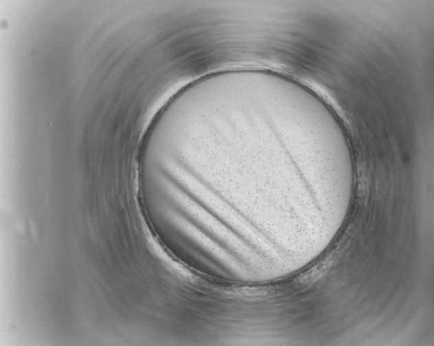 X0000058121476200510212008