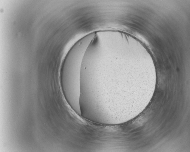 X0000058121480200510212008