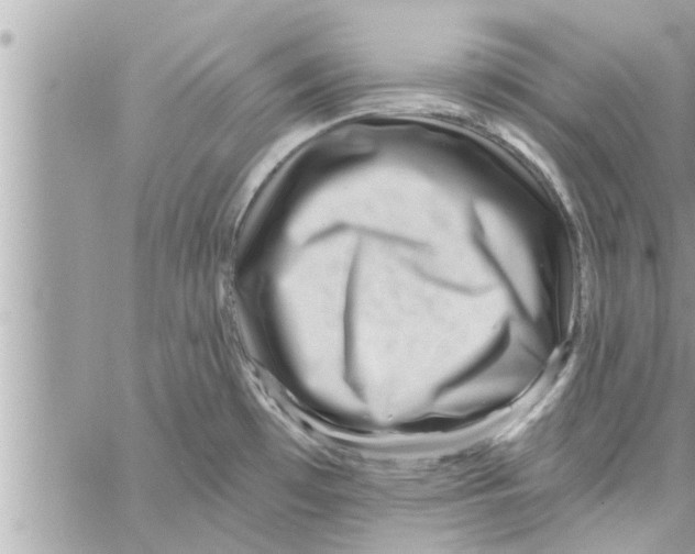 X0000058121481200510212008