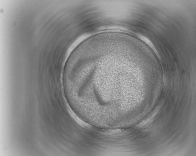 X0000058121482200510212008