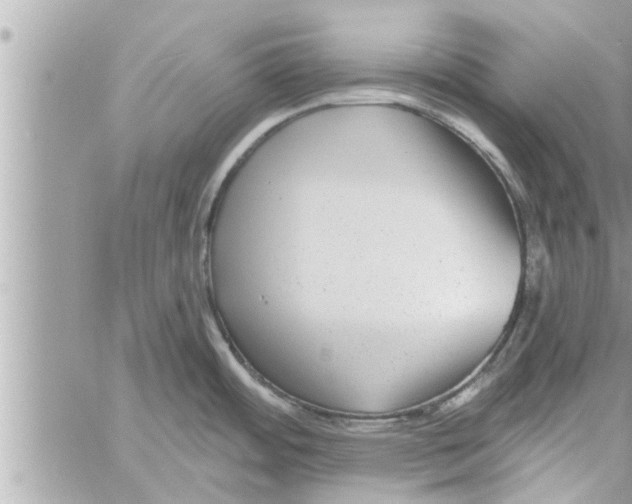 X0000058121484200510212008