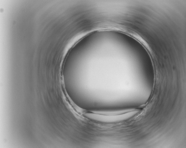 X0000058121485200510212008