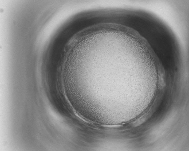 X0000058121487200510212008