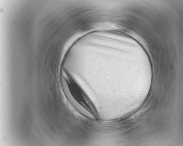 X0000058121488200510212008