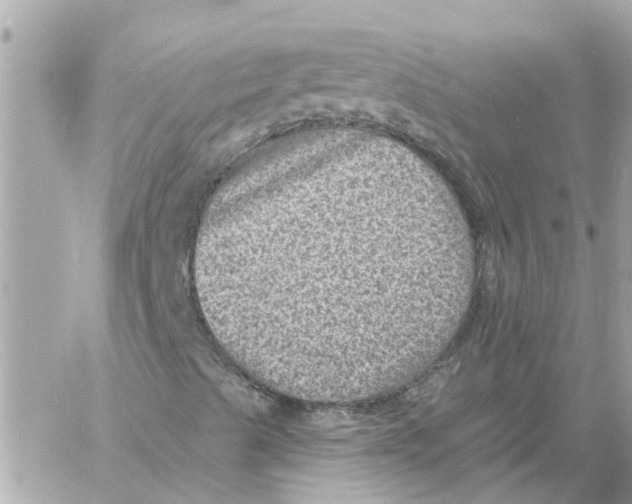 X0000058121489200510212007