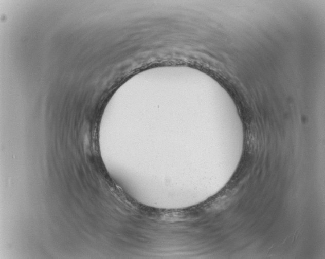 X0000058121490200510212007