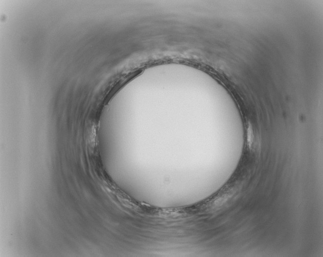 X0000058121492200510212007