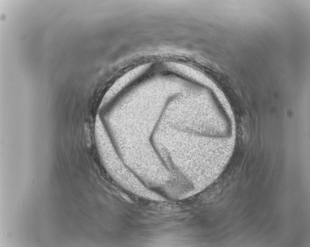 X0000058121493200510212007