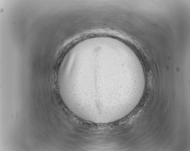 X0000058121494200510212007