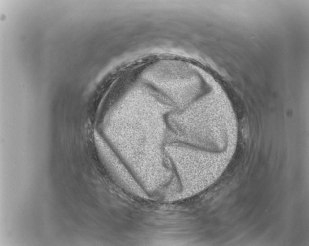 X0000058121495200510212007