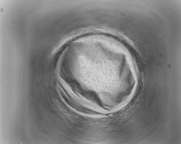 X0000058121496200510212007