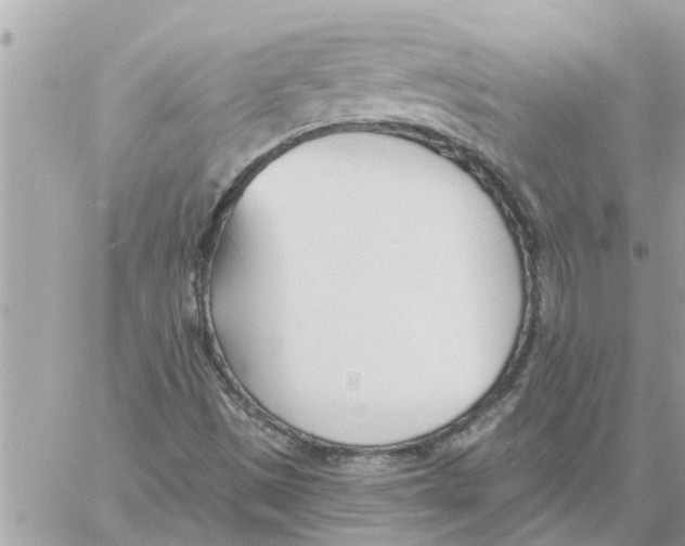 X0000058121497200510212007