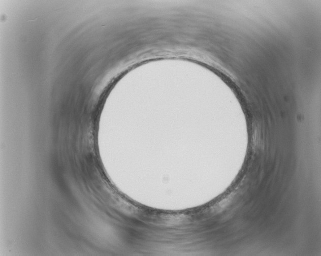 X0000058121498200510212007