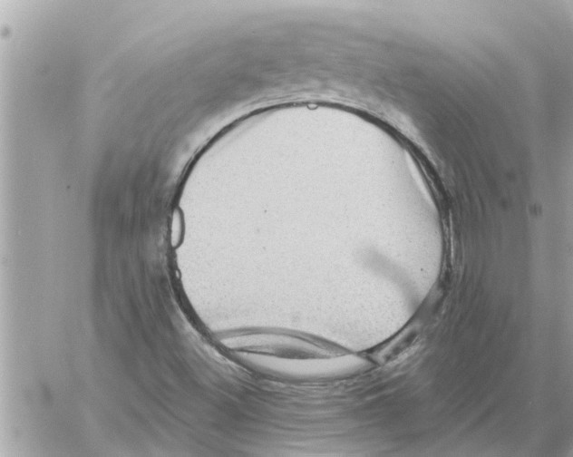 X0000058121500200510212007