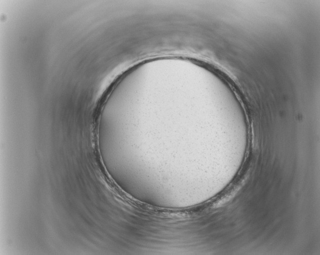 X0000058121501200510212007