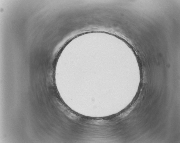 X0000058121502200510212007