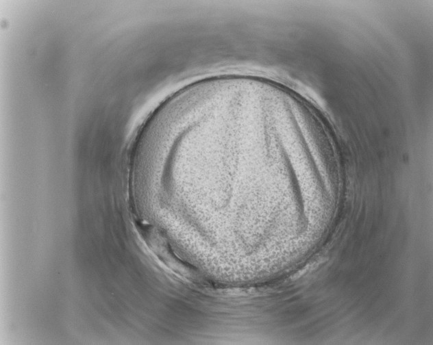 X0000058121504200510212007