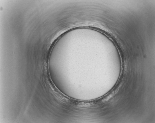 X0000058121505200510212007