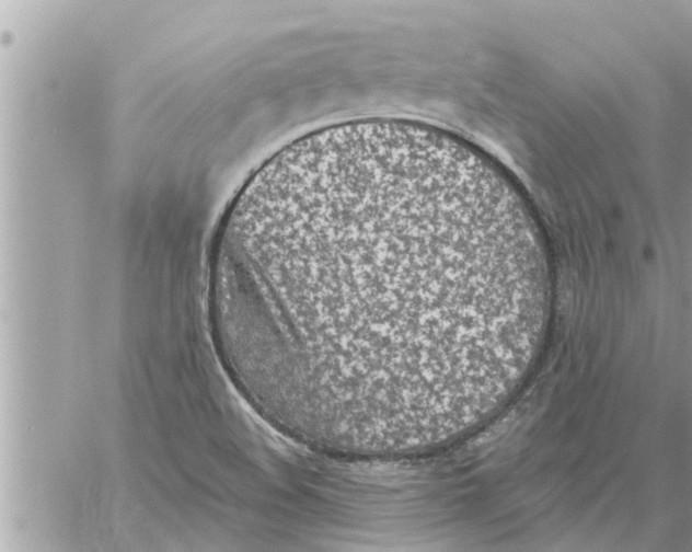 X0000058121508200510212007