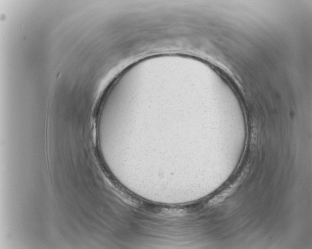 X0000058121509200510212007