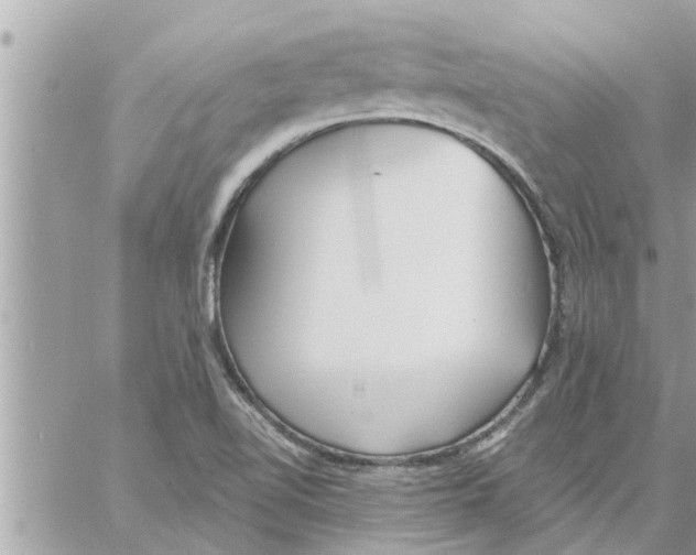 X0000058121510200510212007