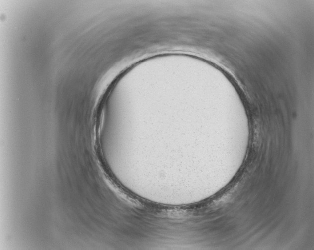 X0000058121511200510212007