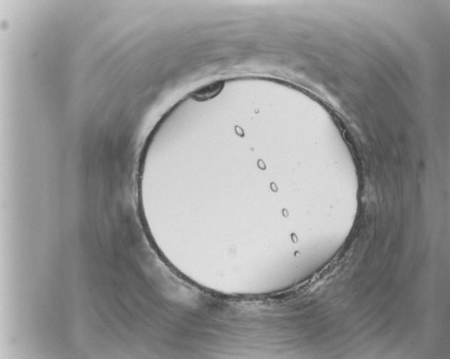 X0000058121512200510212007