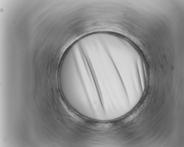 X0000058121513200510212007