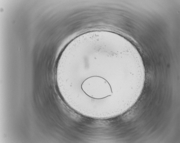 X0000058121514200510212007