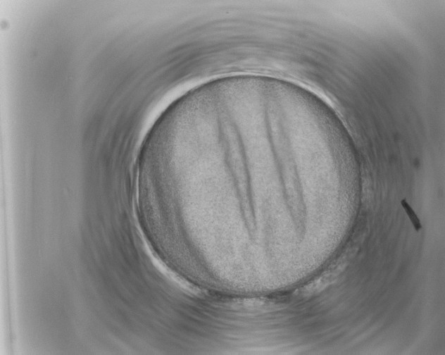 X0000058121515200510212007